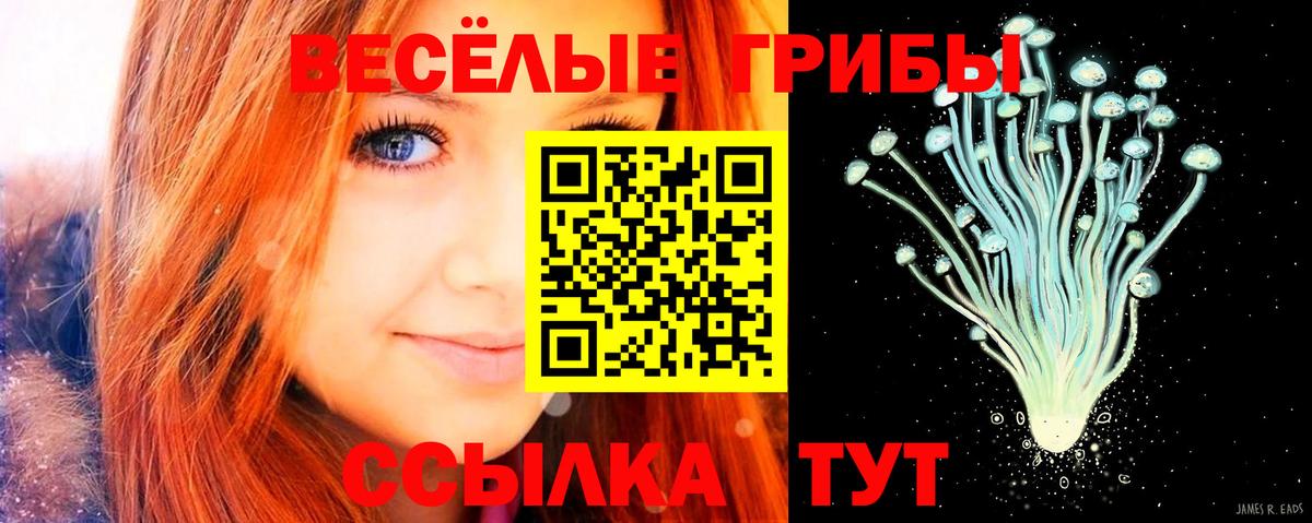 Галлюциногенные грибы Cubensis Павлово