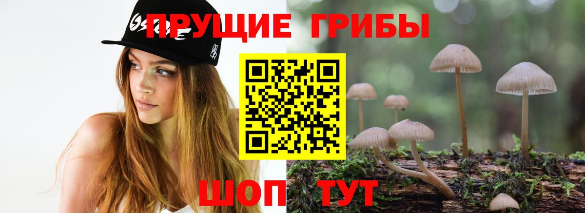 Галлюциногенные грибы мицелий  Вход с VPN  Псилоцибиновые грибы Psilocybe  хочу   Павлово 